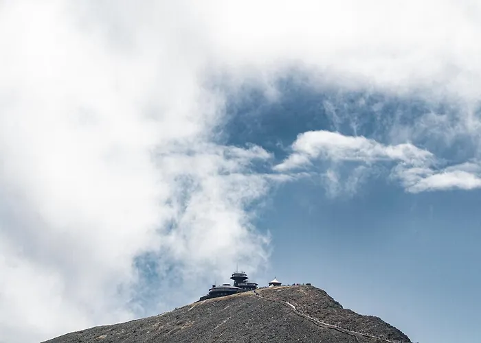 Апартаменты Wilcza For Rest